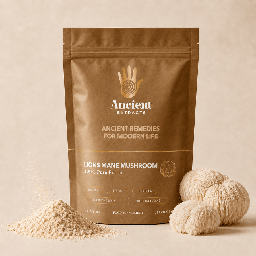 Lion's Mane Mushroom Extract (30g)