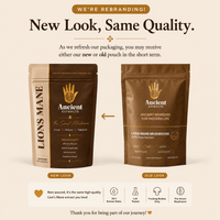 Digestive Reset Stack - Lion's Mane and Shilajit Resin - Ancient Extracts