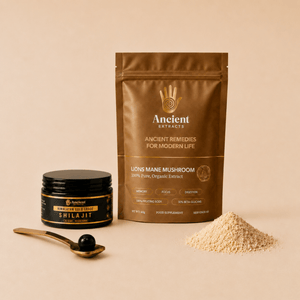Digestive Reset Stack - Lion's Mane and Shilajit Resin