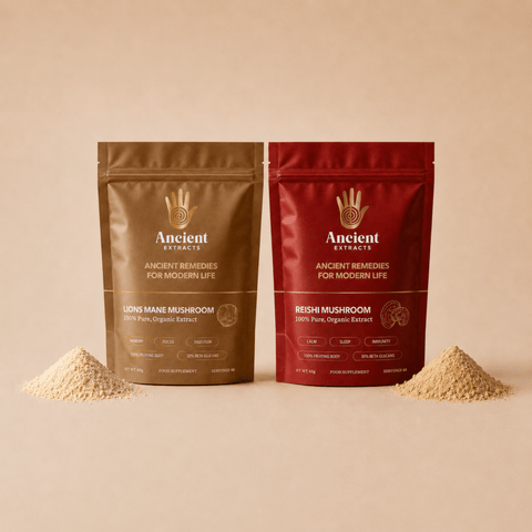 Mindful Pair Lion's Mane & Reishi Extracts - Mushroom Extract - Ancient Extracts