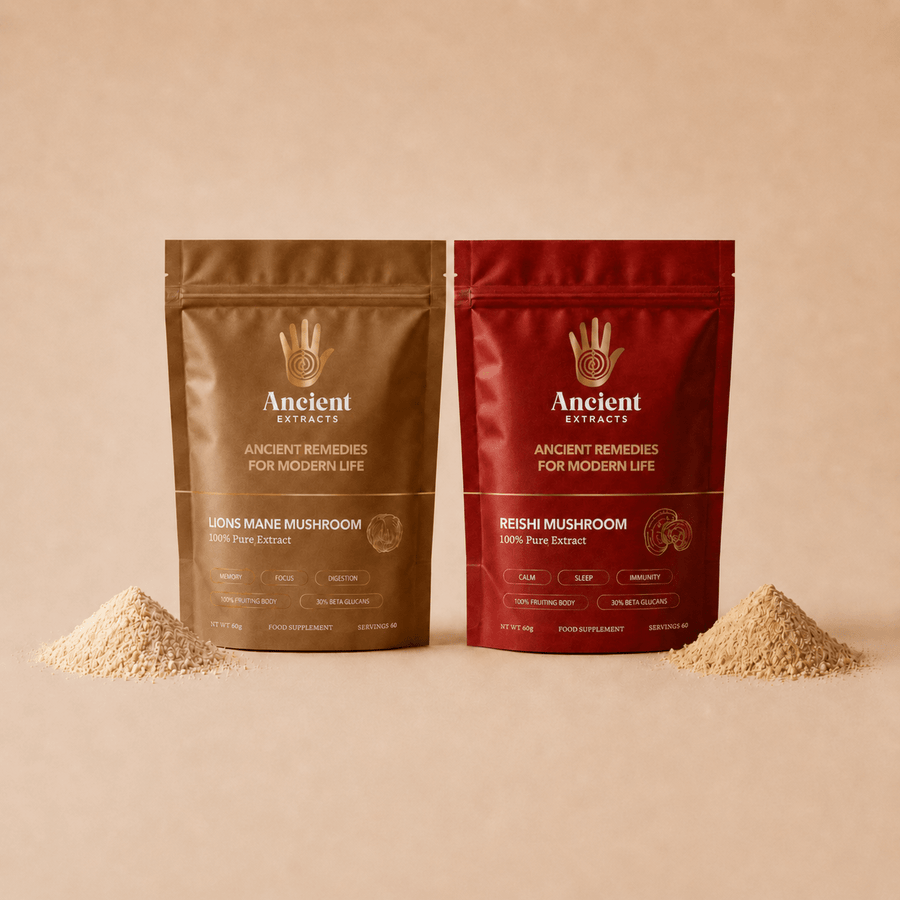 Mindful Pair Lion's Mane & Reishi Extracts