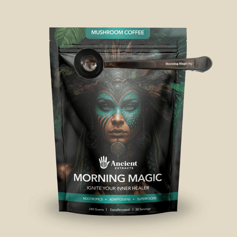 Morning Magic Metal Scoop - Ancient Extracts
