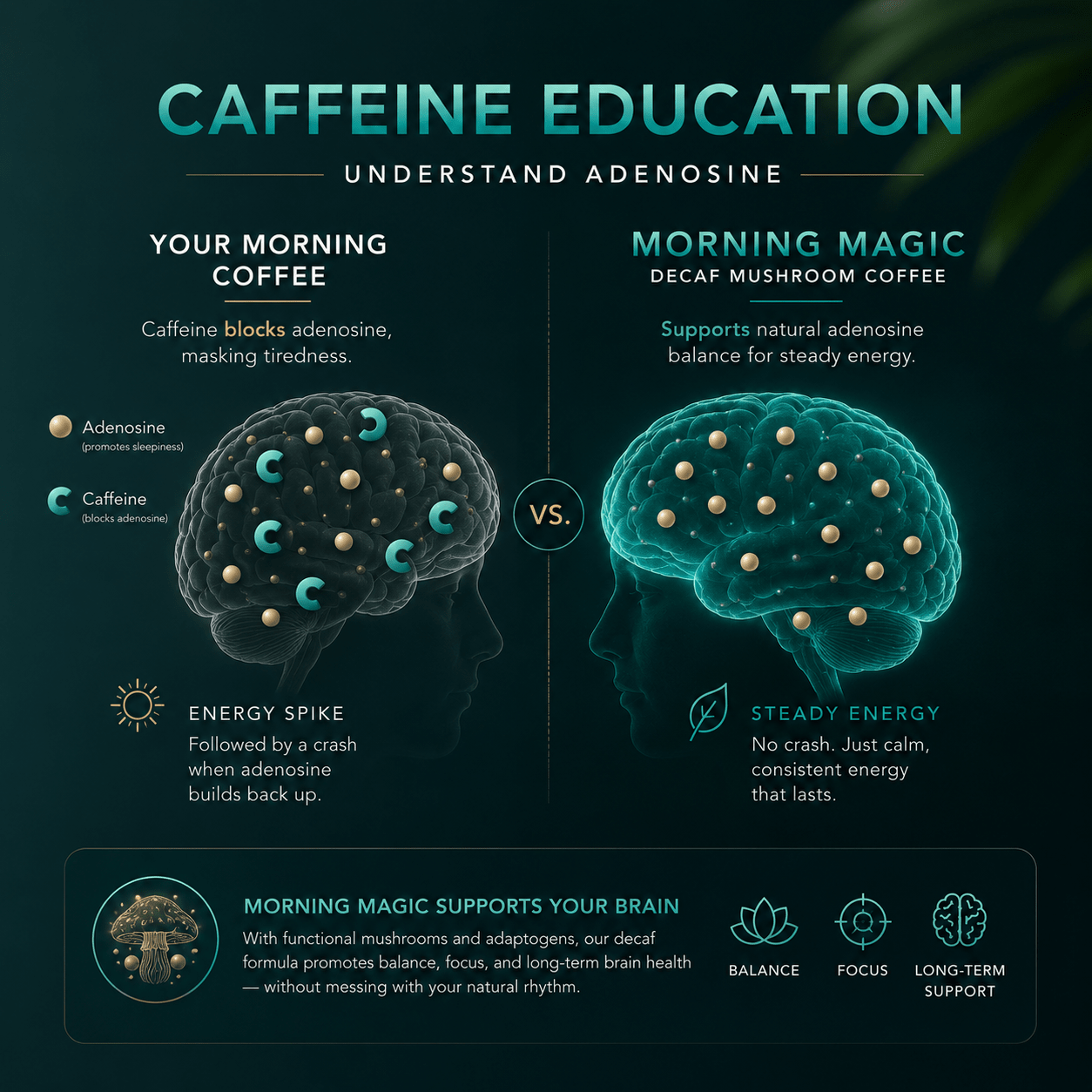 Morning Magic Mushroom Coffee - Mushroom Extract - Ancient Extracts