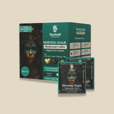 Morning Magic Single Serve Sachets (8g) - Mushroom Extract - Ancient Extracts