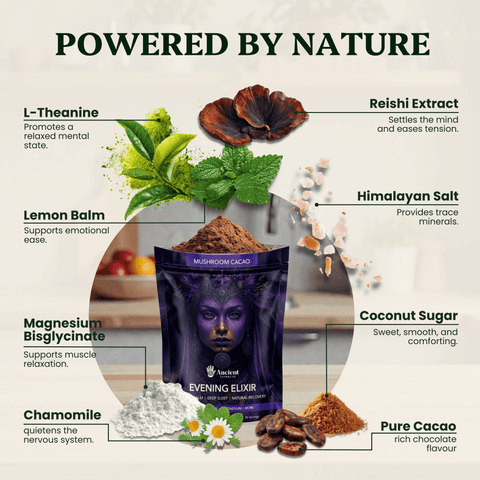Evening Elixir Mushroom Cacao (180g) - Mushroom Extract - Ancient Extracts
