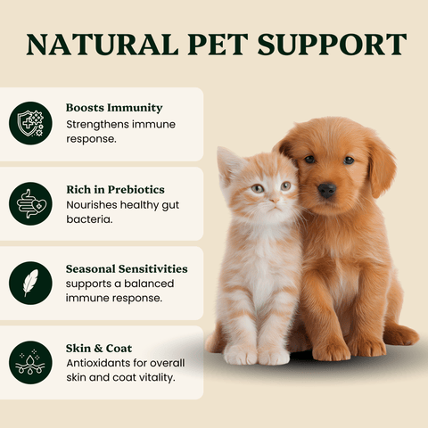 Mushroom Blend - for Pets - Mushroom Extract - Ancient Extracts