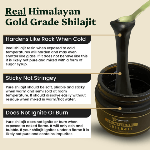 Shilajit Resin - Himalayan Gold Grade - Nutrition support - Ancient Extracts