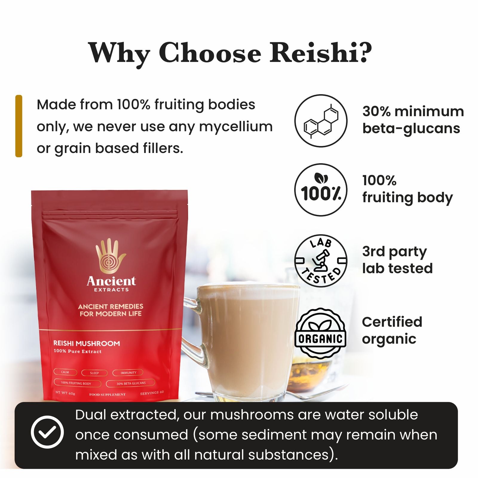 Reishi Mushroom Extract Powder - 30% Beta - glucan (60g) - Mushroom Extract - Ancient Extracts