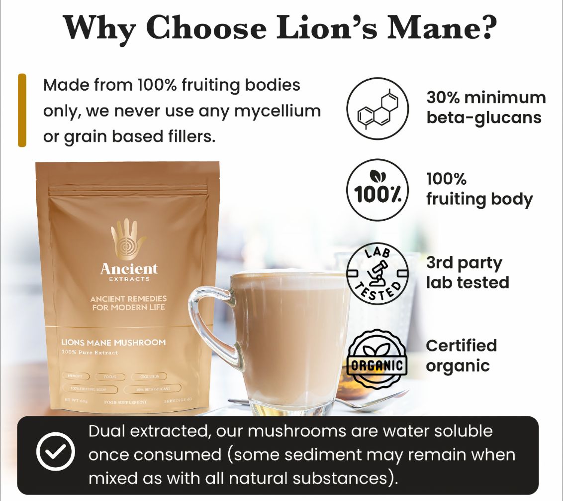 Lion’s Mane Mushroom Extract Powder - 30% Beta-glucan (60g)