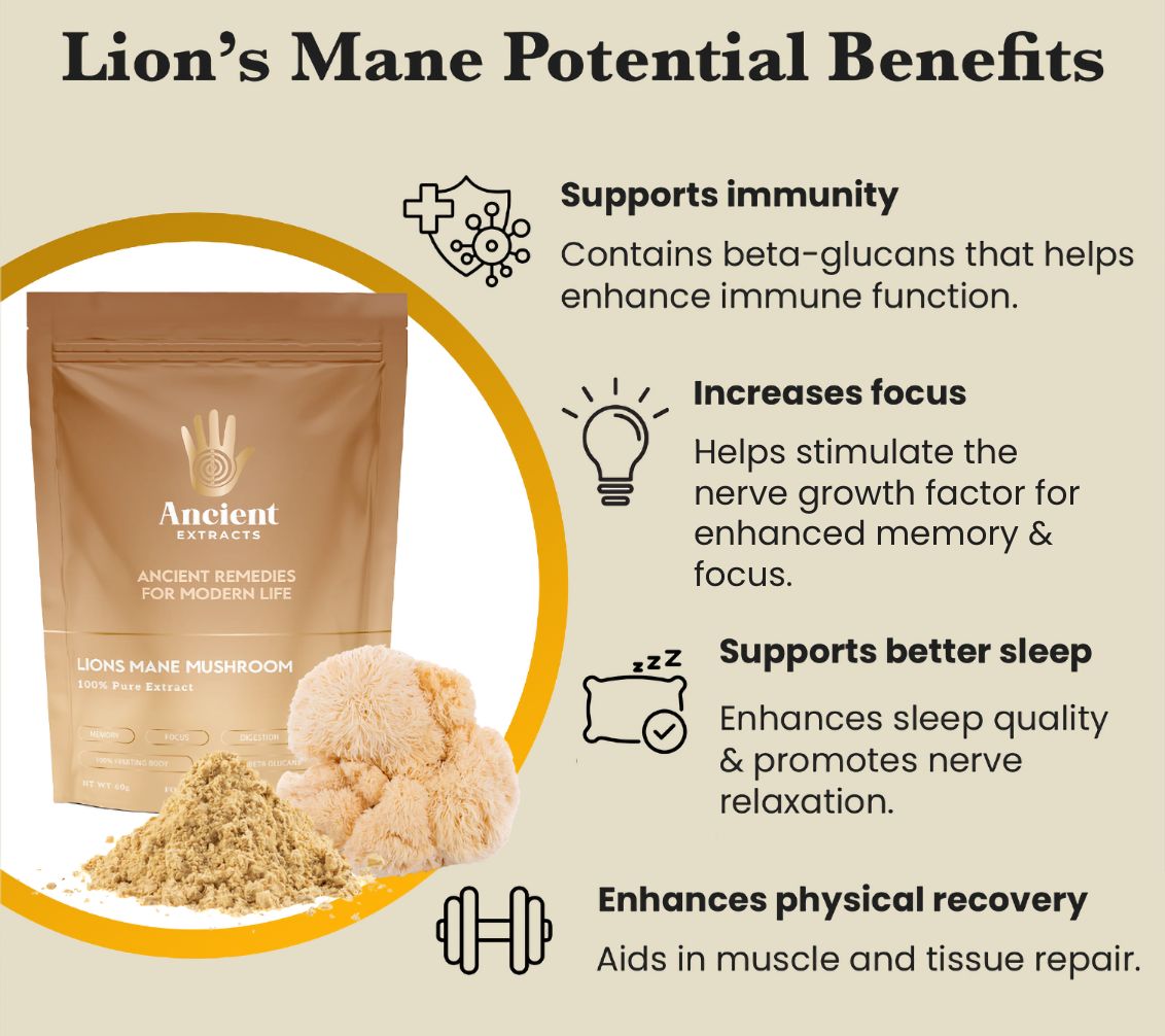 Lion’s Mane Mushroom Extract Powder - 30% Beta-glucan (60g)
