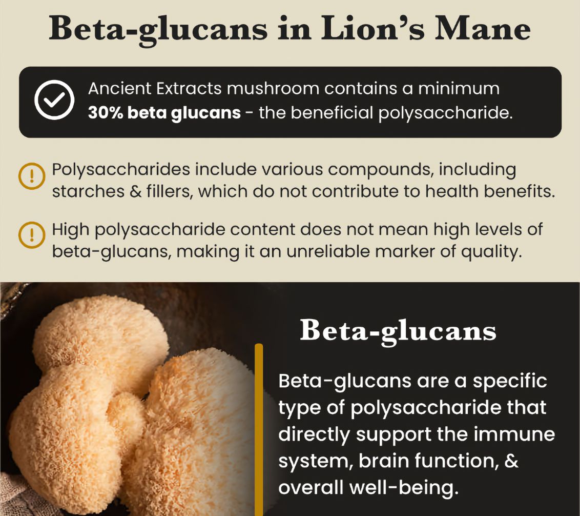 Lion’s Mane Mushroom Extract Powder - 30% Beta-glucan (60g)
