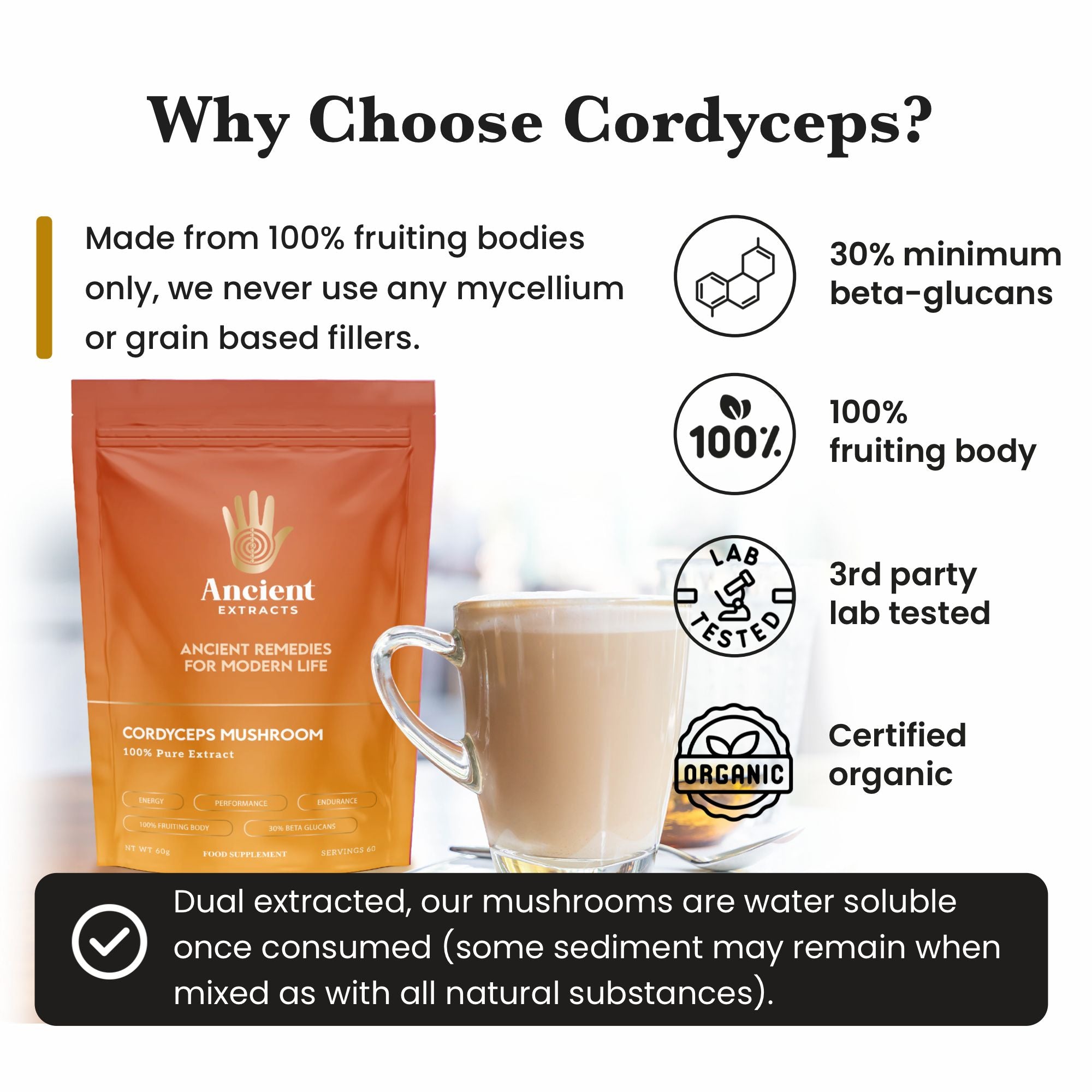 Cordyceps Mushroom Extract Powder - 30% Beta - glucan (60g) - Mushroom Extract - Ancient Extracts