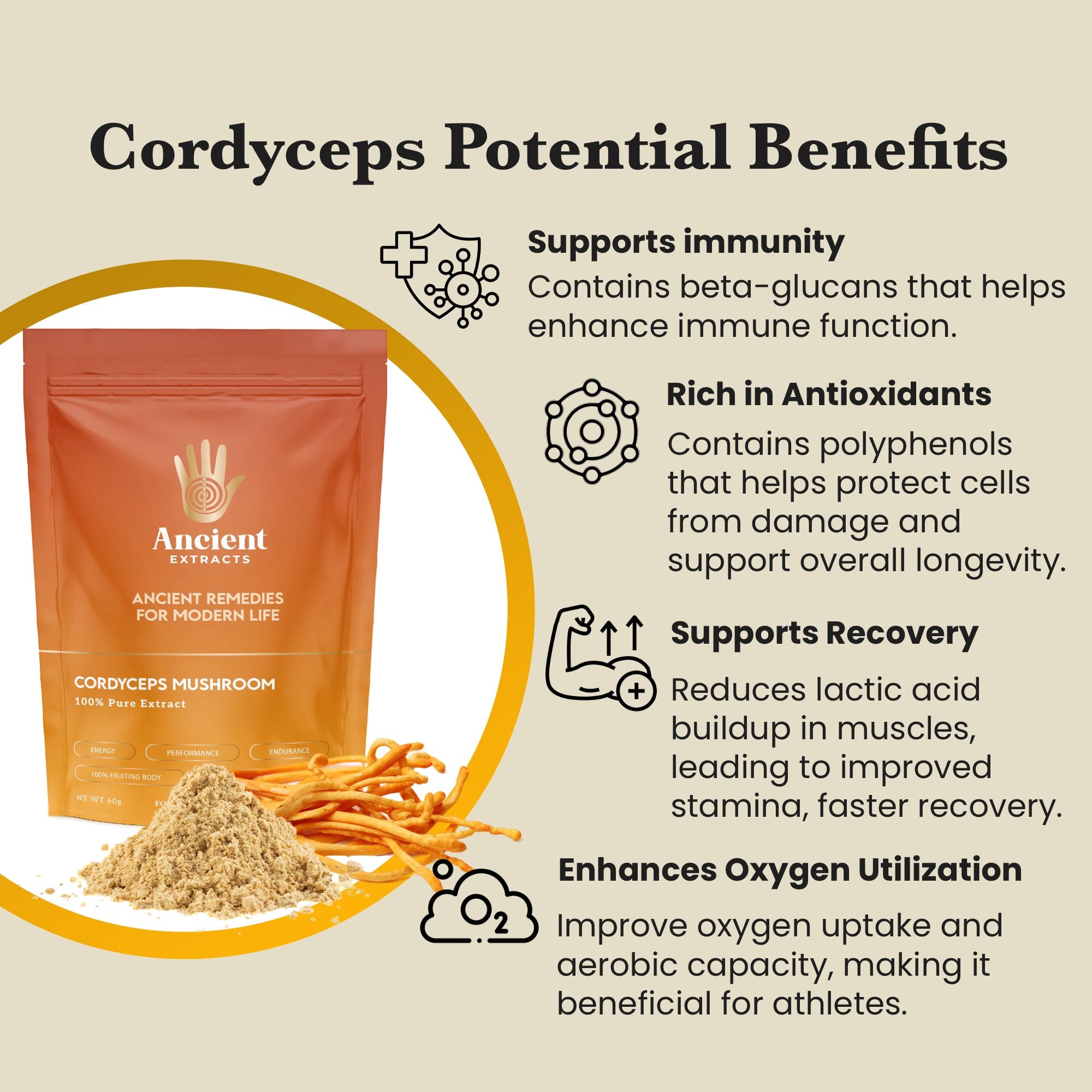 Cordyceps Mushroom Extract Powder - 30% Beta - glucan (60g) - Mushroom Extract - Ancient Extracts