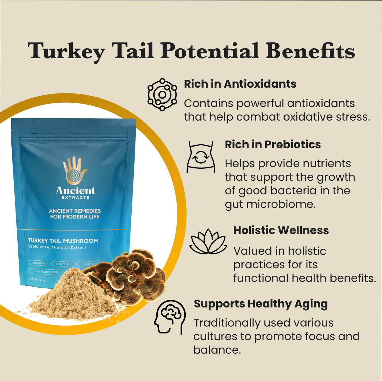 Turkey Tail Mushroom Extract Powder - 30% Beta-glucan (60g)