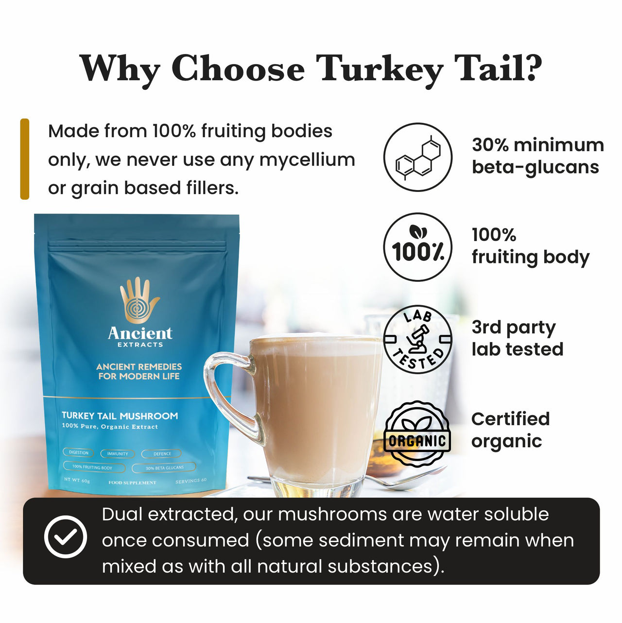 Turkey Tail Mushroom Extract Powder - 30% Beta-glucan (60g)