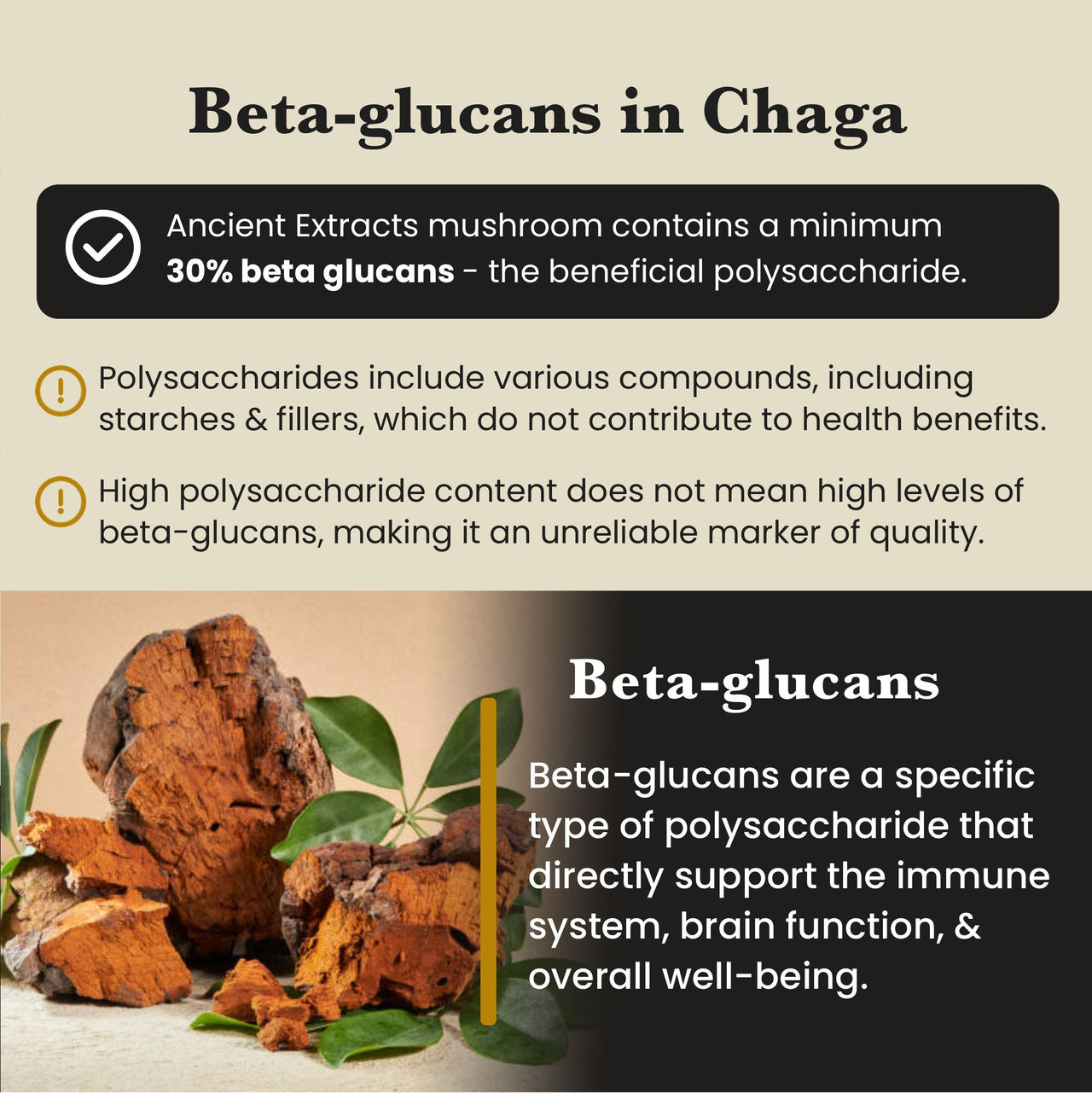 Chaga Mushroom Extract Powder - 30% Beta-glucan (60g)