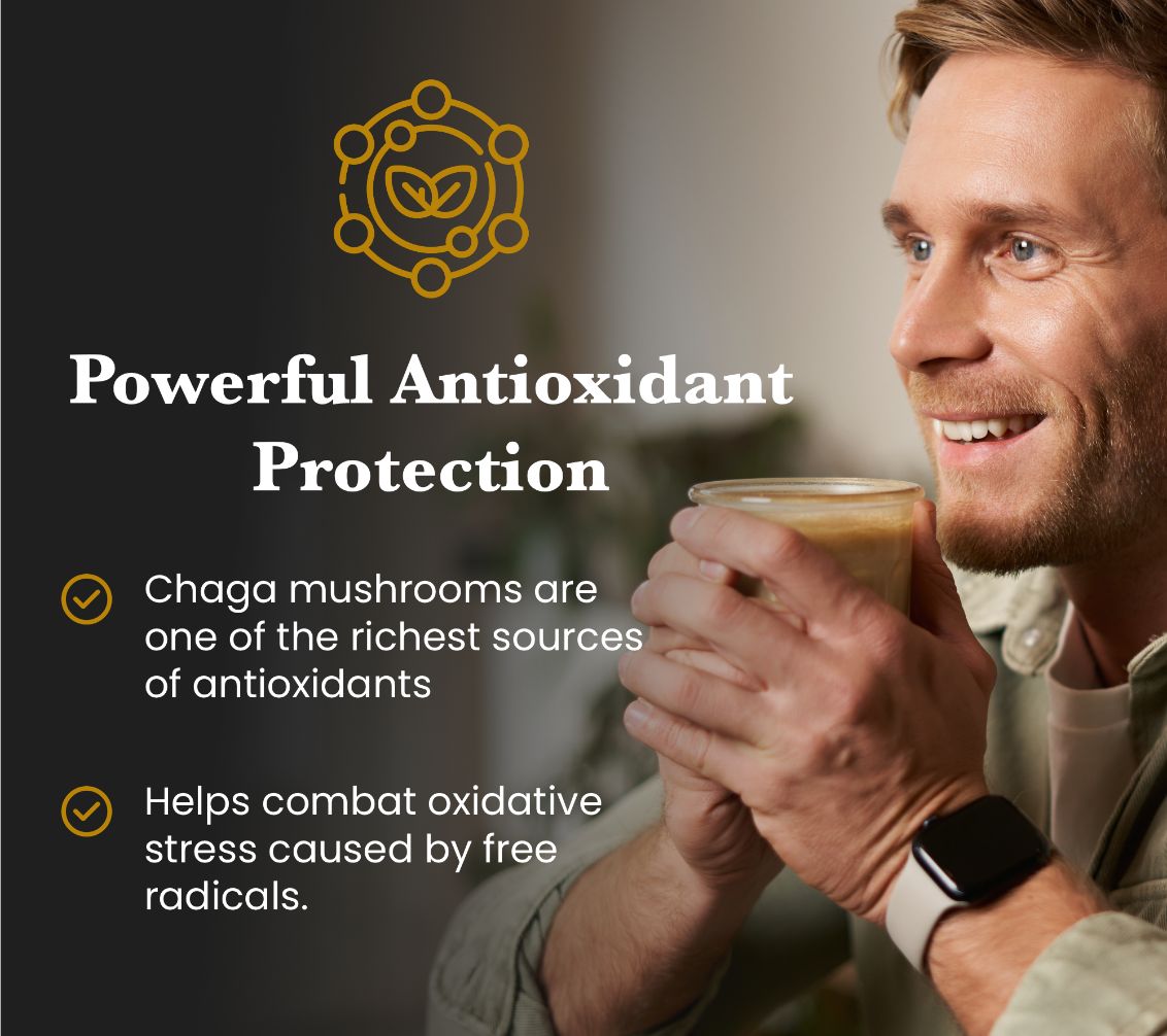 Chaga Mushroom Extract Powder - 30% Beta-glucan (60g)