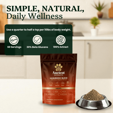 Mushroom Blend - Veterinarian formulated for Dogs and Cats - Mushroom Extract - Ancient Extracts