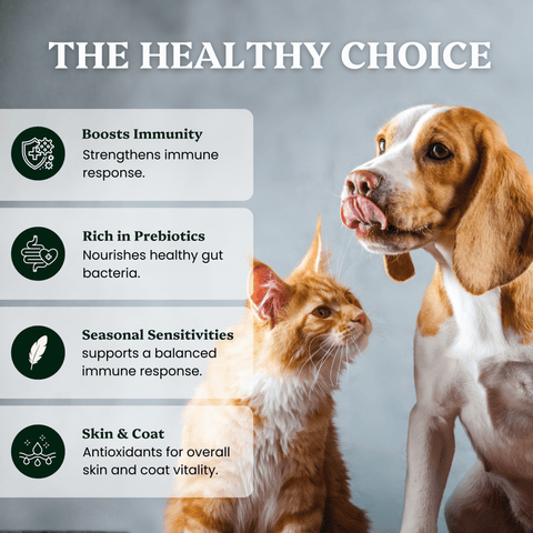 Mushroom Blend - Veterinarian formulated for Dogs and Cats - Mushroom Extract - Ancient Extracts