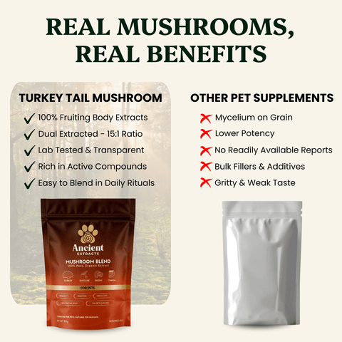 Mushroom Blend - Veterinarian formulated for Dogs and Cats - Mushroom Extract - Ancient Extracts