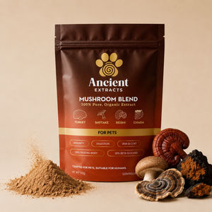 Mushroom Blend - For Pets