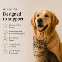Mushroom Blend - For Pets - Mushroom Extract - Ancient Extracts