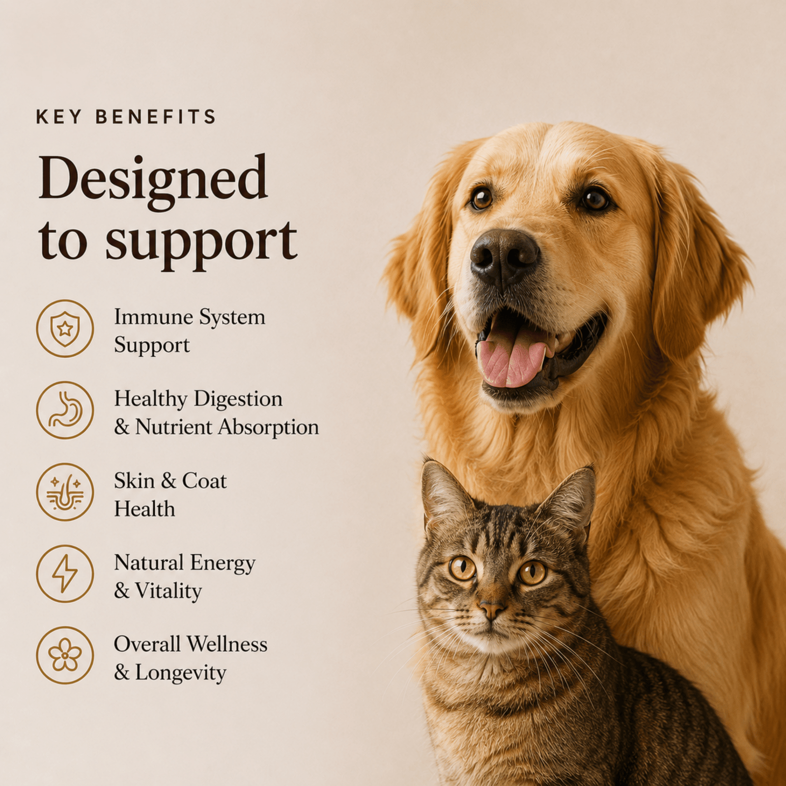 Mushroom Blend - For Pets - Mushroom Extract - Ancient Extracts