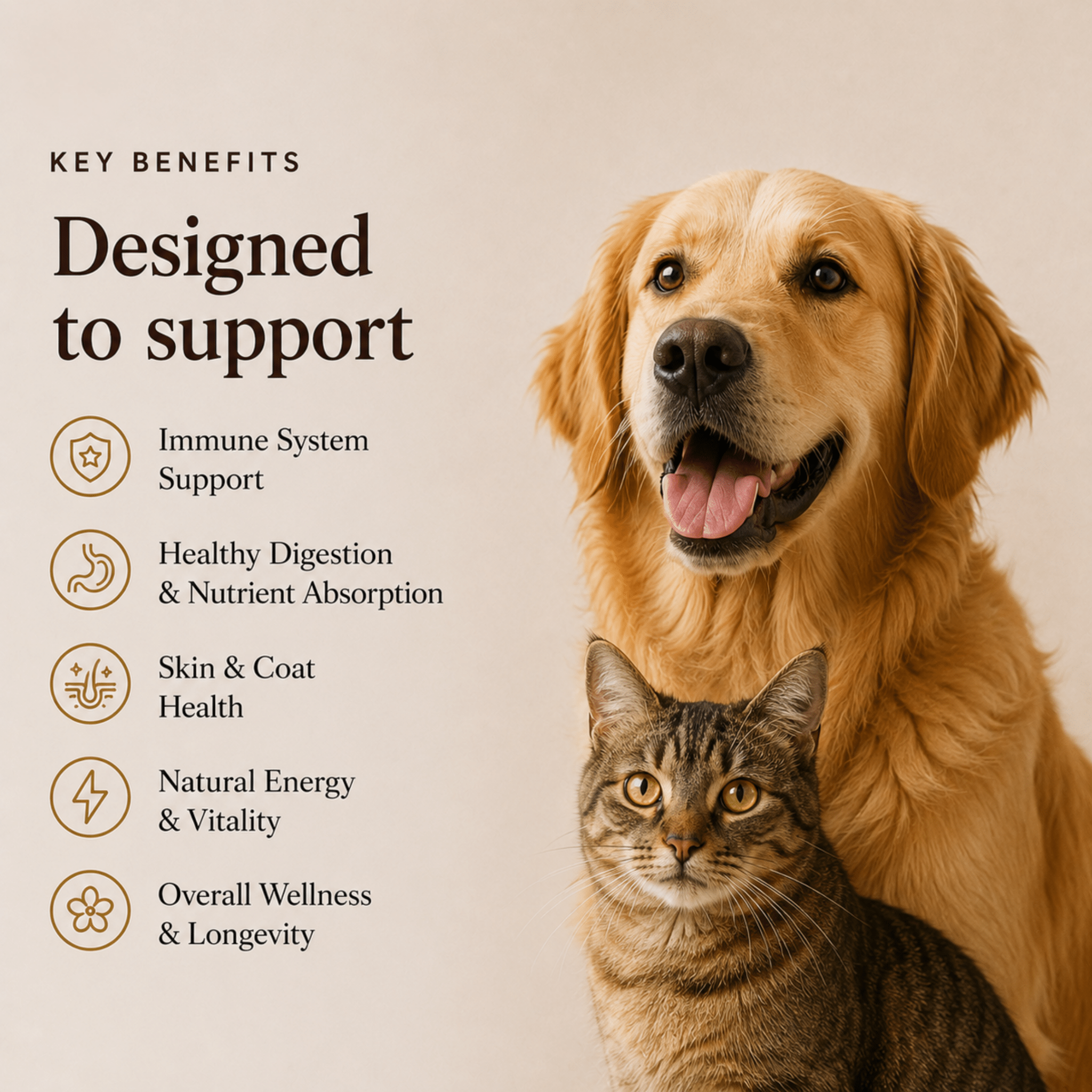 Mushroom Blend - For Pets - Mushroom Extract - Ancient Extracts