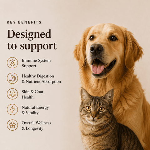 Mushroom Blend - For Pets - Mushroom Extract - Ancient Extracts