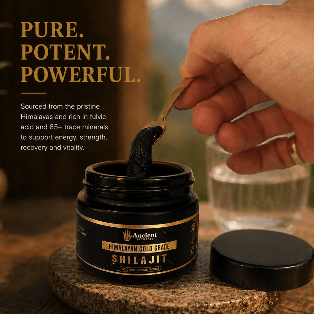 Shilajit Resin - Himalayan Gold Grade - Nutrition support - Ancient Extracts