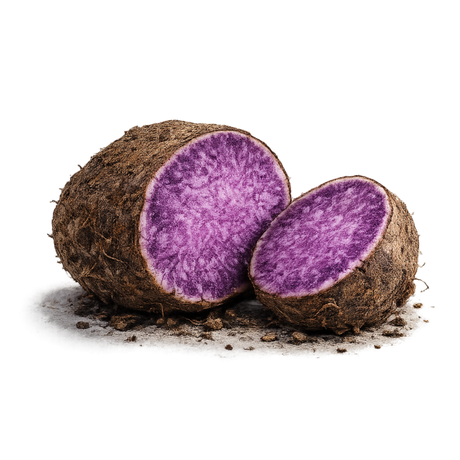 Purple Yam