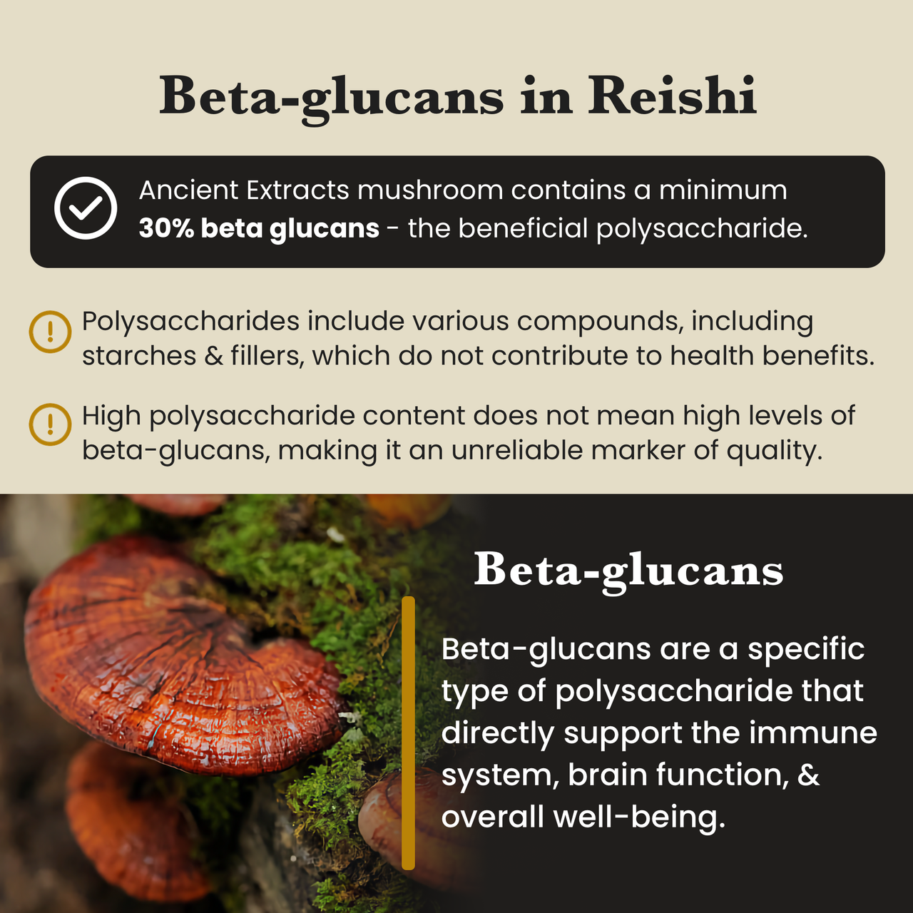 Detox Pair - Raw Shilajit Resin and Reishi Mushroom  Extract