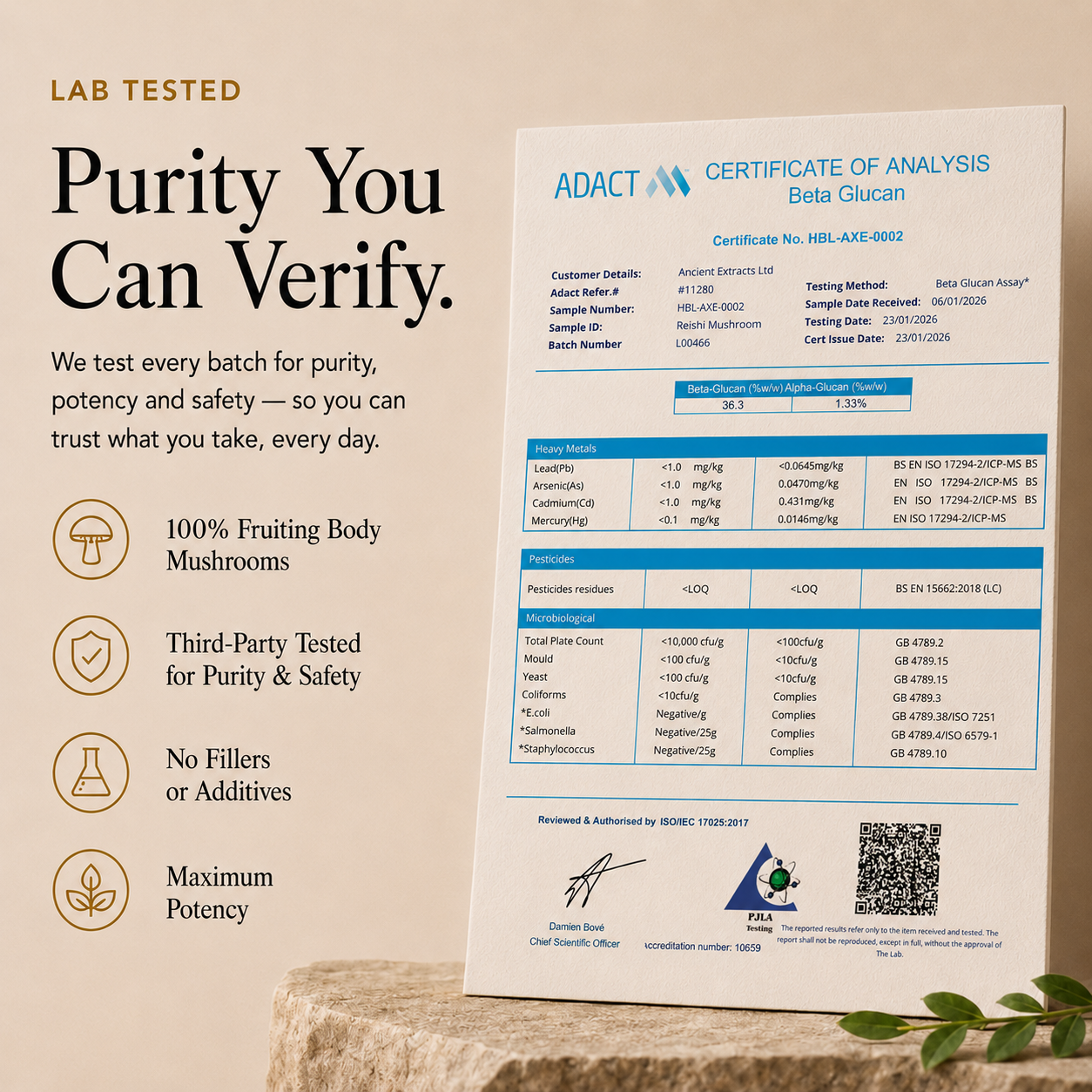 A Reishi certificate of analysis for Beta Glucan from the brand ADACT, displayed on a light beige textured surface next to a white and blue paper document. The image includes marketing text overlays on the left side detailing product benefits like 'Purity You Can Verify' and '100% Fruiting Body Mushrooms'.