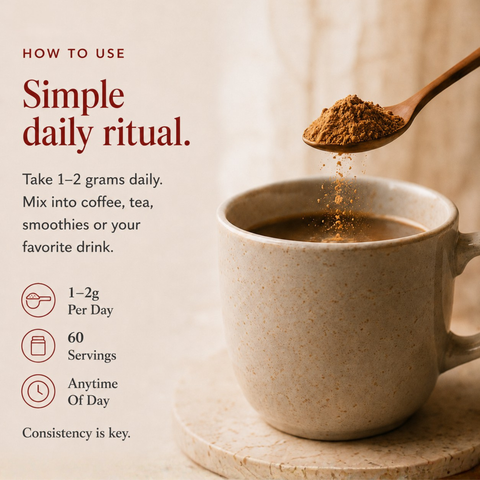 Reishi Mushroom Extract Powder