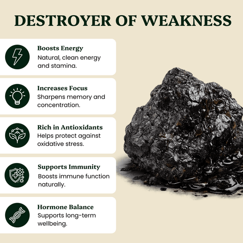 Shilajit Resin - Himalayan Gold Grade - Nutrition support - Ancient Extracts