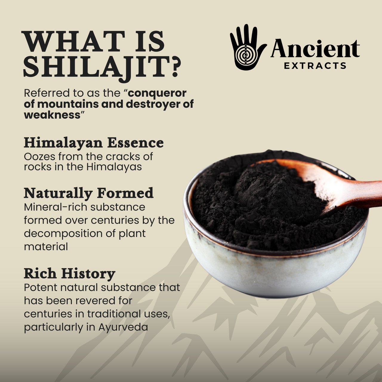 Himalayan Raw Shilajit Powder - 50g - 80% Fulvic Acid