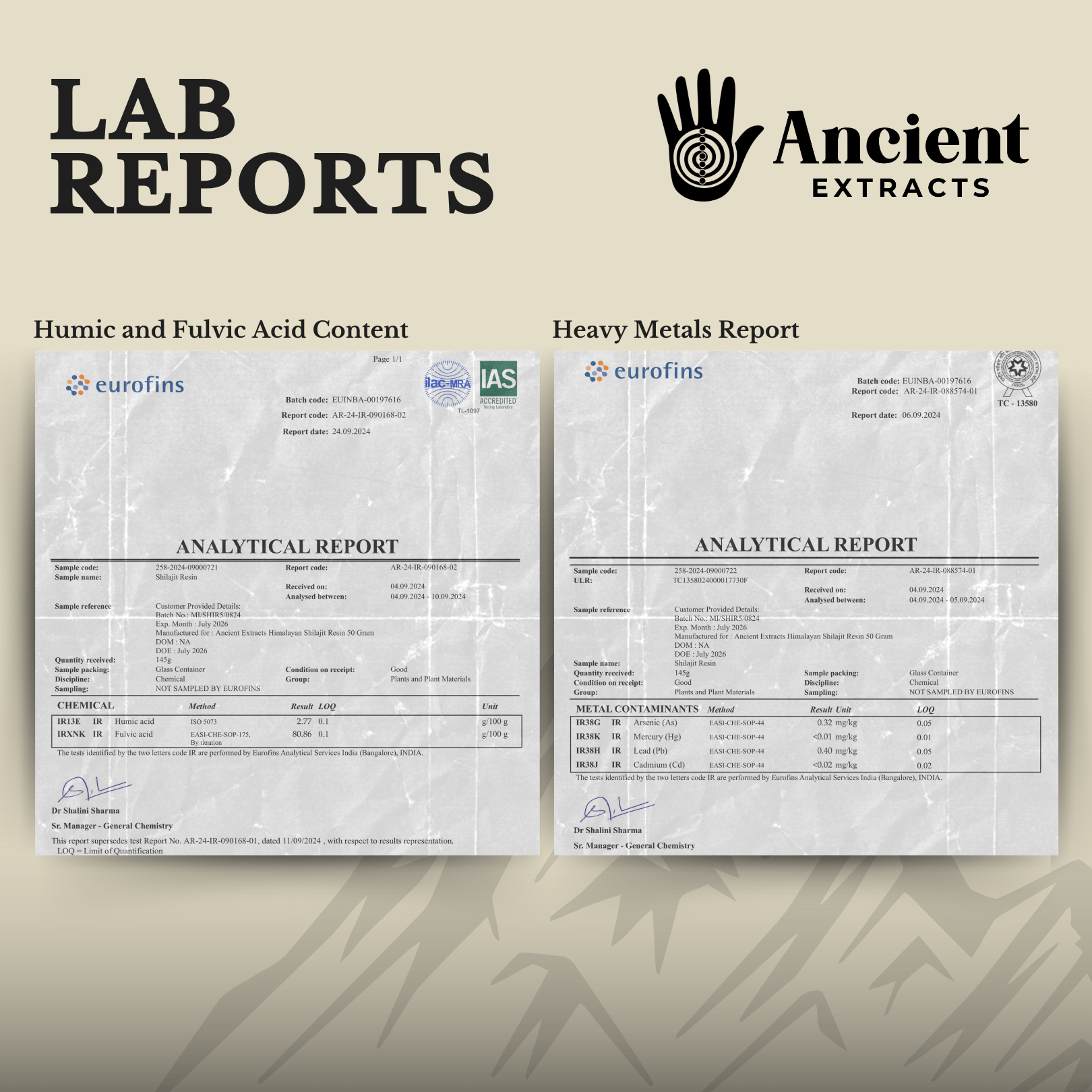 Detox Pair - Raw Shilajit Resin and Reishi Mushroom Extract - Ancient Extracts