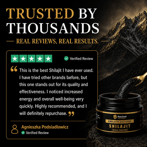 Shilajit Resin - Himalayan Gold Grade - Nutrition support - Ancient Extracts