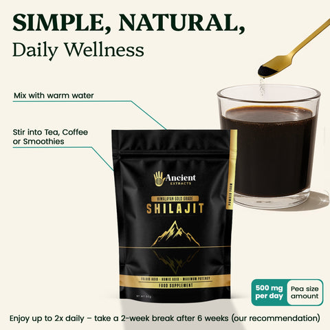 Shilajit Powder - Himalayan Gold Grade (50g) - Ancient Extracts