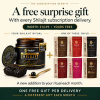 Pure Himalayan Shilajit Resin