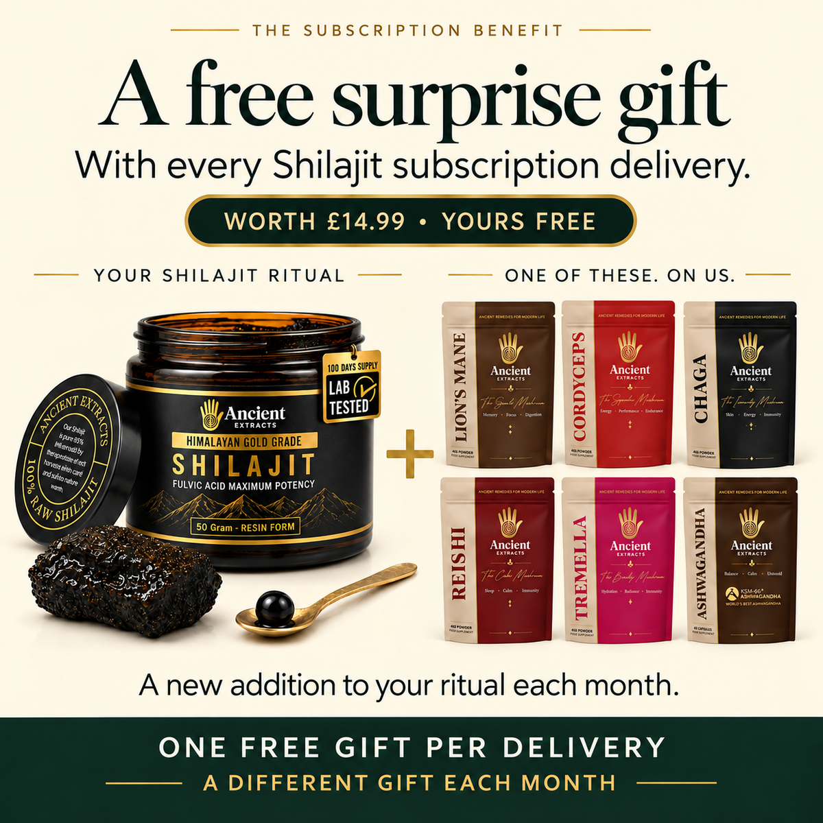 Pure Himalayan Shilajit Resin