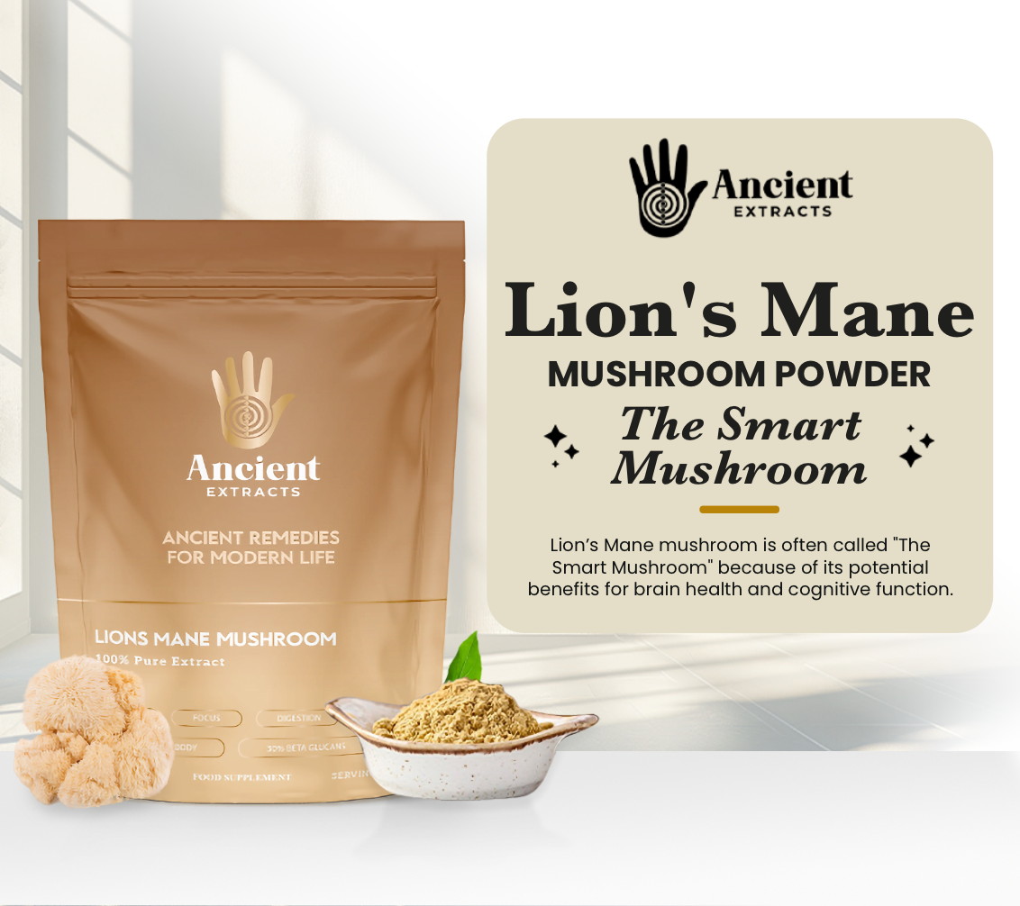 Lion’s Mane Mushroom Extract Powder - 30% Beta-glucan (60g)