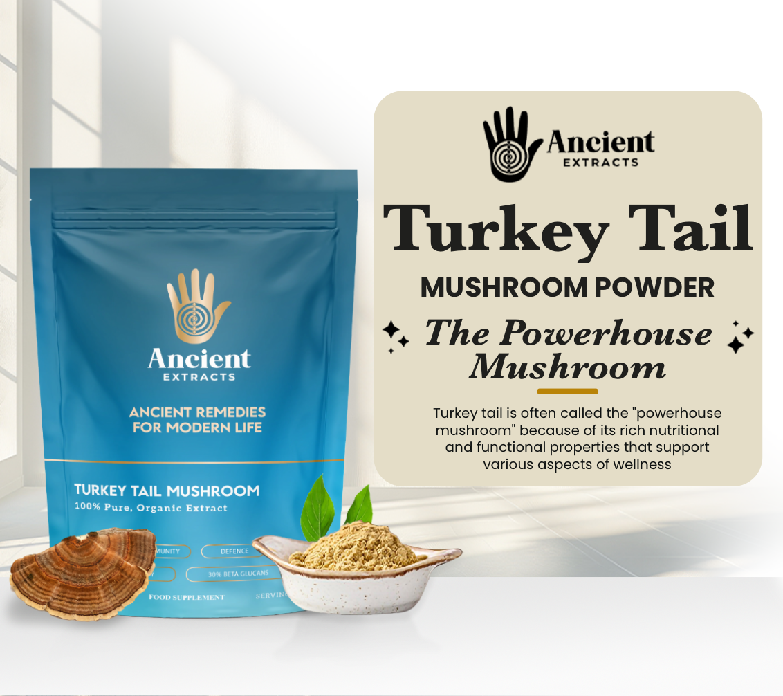 Turkey Tail Mushroom Extract Powder - 30% Beta-glucan (60g)