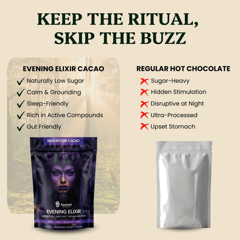 Evening Elixir Mushroom Cacao - Mushroom Extract - Ancient Extracts