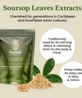 Soursop Leaf Extract - South American Graviola (60g) - Ancient Extracts