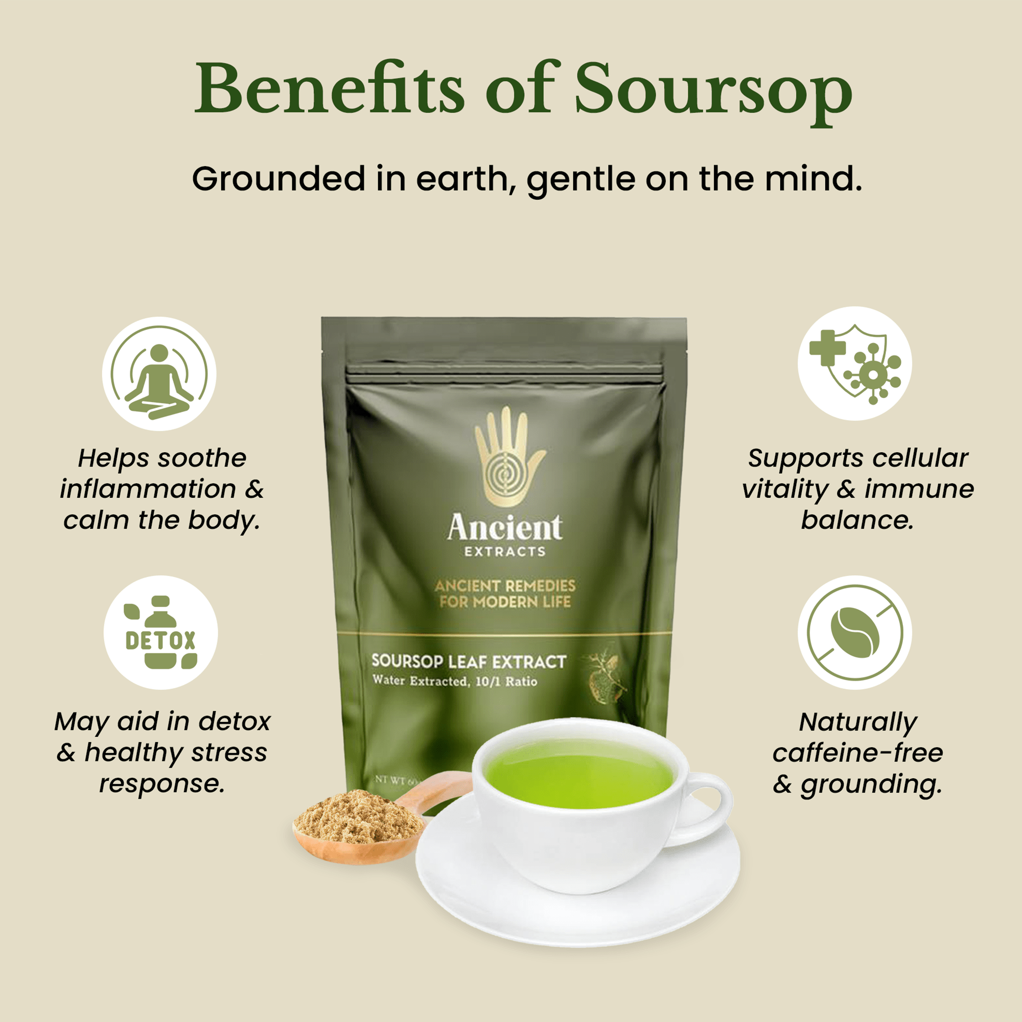 Soursop Leaf Extract - South American Graviola (60g) - Ancient Extracts
