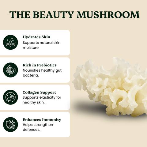 Tremella Mushroom Extract Powder - Ancient Extracts