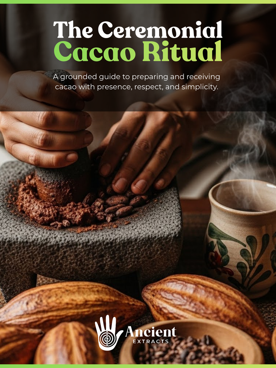 The Cacao Ritual