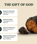 Chaga Mushroom Extract Powder - Mushroom Extract - Ancient Extracts