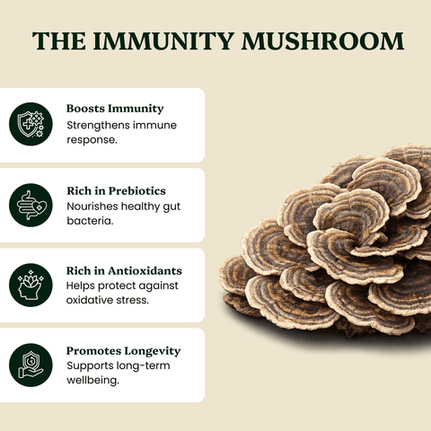 Turkey Tail Mushroom Extract - For Pets - Mushroom Extract - Ancient Extracts